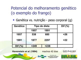 Potencial do melhoramento genético (o exemplo do frango) Genética vs. nutrição - peso corporal (g) Havenstein  et al . (1994)  machos 42 dias   G/D P<0,001 