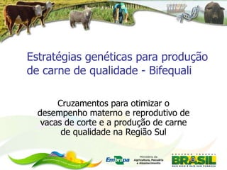 Estratégias genéticas para produção de carne de qualidade - Bifequali Cruzamentos para otimizar o desempenho materno e reprodutivo de vacas de corte e a produção de carne de qualidade na Região Sul 