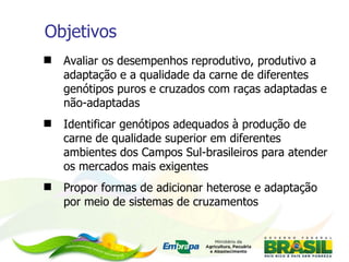 Objetivos Avaliar os desempenhos reprodutivo, produtivo a adaptação e a qualidade da carne de diferentes genótipos puros e cruzados com raças adaptadas e não-adaptadas Identificar genótipos adequados à produção de carne de qualidade superior em diferentes ambientes dos Campos Sul-brasileiros para atender os mercados mais exigentes Propor formas de adicionar heterose e adaptação por meio de sistemas de cruzamentos 