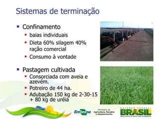 Sistemas de terminação Confinamento baias individuais Dieta 60% silagem 40% ração comercial Consumo à vontade Pastagem cultivada Consorciada com aveia e azevém.  Potreiro de 44 ha. Adubação 150 kg de 2-30-15 + 80 kg de uréia 
