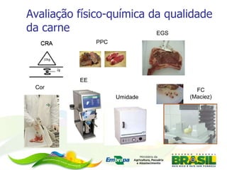Avaliação físico-química da qualidade da carne CRA PPC EGS Cor EE Umidade FC (Maciez) CRA 