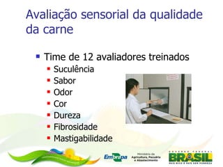 Time de 12 avaliadores treinados Suculência Sabor Odor  Cor Dureza Fibrosidade Mastigabilidade  Avaliação sensorial da qualidade da carne 