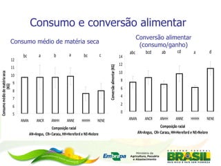 Consumo e conversão alimentar Consumo médio de matéria seca Conversão alimentar (consumo/ganho) 