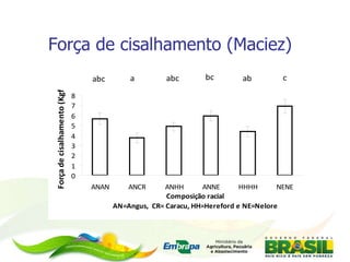 Força de cisalhamento (Maciez)   