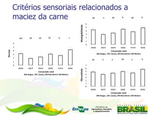 Critérios sensoriais relacionados a maciez da carne   