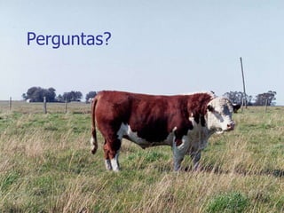Perguntas? 