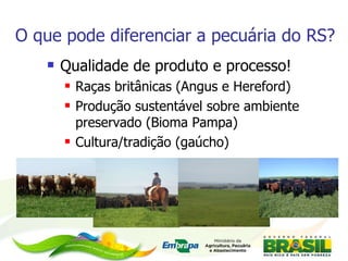 O que pode diferenciar a pecuária do RS? Qualidade de produto e processo! Raças britânicas (Angus e Hereford) Produção sustentável sobre ambiente preservado (Bioma Pampa) Cultura/tradição (gaúcho) 