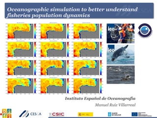 Oceanographic simulation to better understand
fisheries population dynamics
Instituto Español de Oceanografía
Manuel Ruiz Villarreal
 