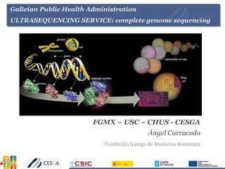Galician Public Health Administration
ULTRASEQUENCING SERVICE: complete genome sequencing
FGMX – USC – CHUS - CESGA
Ángel Carracedo
Fundación Galega de Medicina Xenómica
 