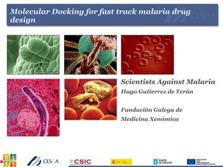 Molecular Docking for fast track malaria drug
design
Scientists Against Malaria
Hugo Gutierrez de Terán
Fundación Galega de
Medicina Xenómica
 