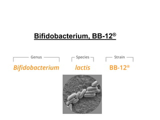Bifidobacterium, BB-12®
 