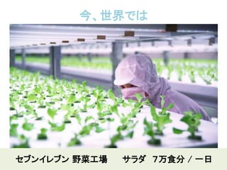 今、世界では
セブンイレブン 野菜工場 サラダ ７万食分 / 一日
 