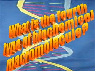 What is the fourth  type of biochemical  macromolecule? 