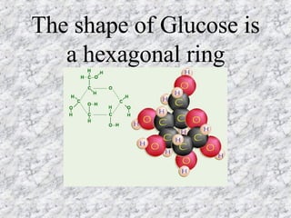 The shape of Glucose is a hexagonal ring 