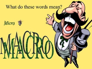 MACRO Micro What do these words mean? 