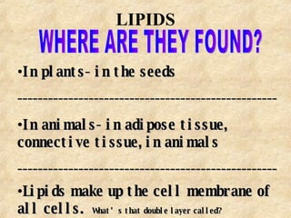 LIPIDS WHERE ARE THEY FOUND? In plants- in the seeds --------------------------------------------------- In animals- in adipose tissue, connective tissue, in animals --------------------------------------------------- Lipids make up the cell membrane of all cells.  What’s that double layer called? 