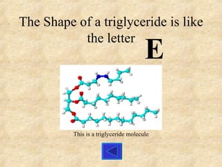 The Shape of a triglyceride is like the letter E This is a triglyceride molecule 