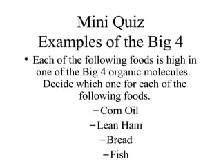 Mini Quiz Examples of the Big 4 Each of the following foods is high in one of the Big 4 organic molecules.  Decide which one for each of the following foods. Corn Oil Lean Ham Bread Fish 