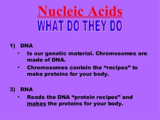 Nucleic Acids DNA Is our genetic material. Chromosomes are made of DNA. Chromosomes contain the “recipes” to make proteins for your body. RNA Reads the DNA “protein recipes” and  makes  the proteins for your body. WHAT DO THEY DO 