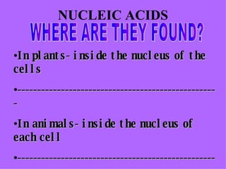 NUCLEIC ACIDS WHERE ARE THEY FOUND? In plants- inside the nucleus of the cells --------------------------------------------------- In animals- inside the nucleus of each cell --------------------------------------------------- 