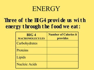 ENERGY  Three of the BIG 4 provide us with  energy through the food we eat: Number of Calories it provides BIG 4  MACROMOLECULES Nucleic Acids Lipids Proteins Carbohydrates 