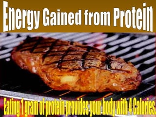 Energy Gained from Protein Eating 1 gram of protein provides your body with 4 Calories. 