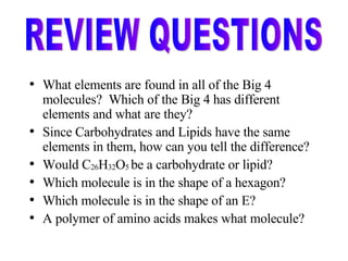 What elements are found in all of the Big 4 molecules?  Which of the Big 4 has different elements and what are they? Since Carbohydrates and Lipids have the same elements in them, how can you tell the difference? Would C 26 H 32 O 5  be a carbohydrate or lipid? Which molecule is in the shape of a hexagon? Which molecule is in the shape of an E? A polymer of amino acids makes what molecule? REVIEW QUESTIONS 