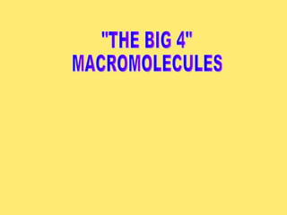 &quot;THE BIG 4&quot; MACROMOLECULES 