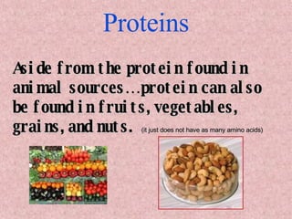 Proteins Aside from the protein found in animal sources…protein can also be found in fruits, vegetables, grains, and nuts.  (it just does not have as many amino acids) 