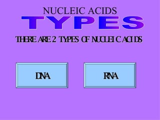 NUCLEIC ACIDS TYPES THERE ARE 2 TYPES OF NUCLEIC ACIDS DNA RNA 