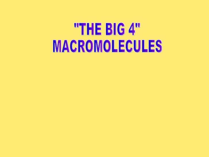 big 4 macromolecules 4 macromolecules
