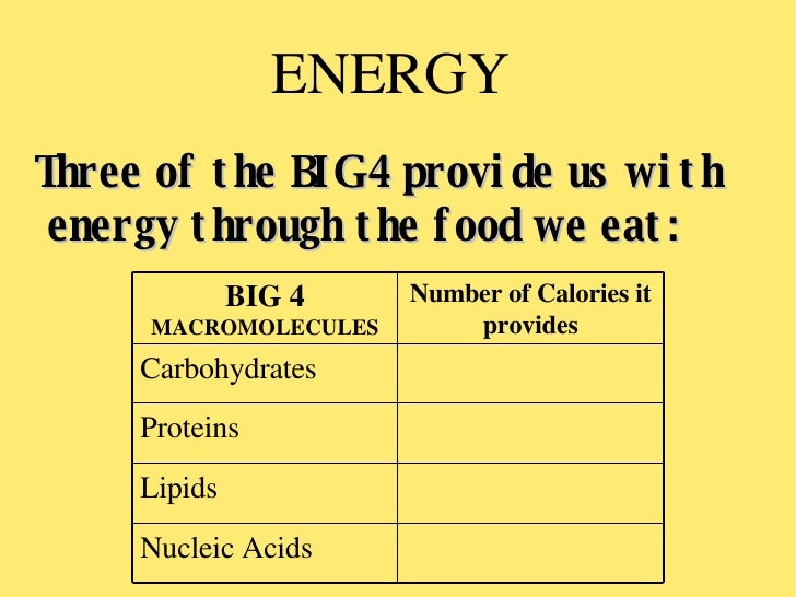 big 4 macromolecules 4 macromolecules