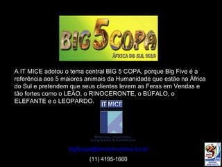 A IT MICE adotou o tema central BIG 5 COPA, porque Big Five é a referência aos 5 maiores animais da Humanidade que estão na África do Sul e pretendem que seus clientes levem as Feras em Vendas e tão fortes como o LEÃO, o RINOCERONTE, o BÚFALO, o ELEFANTE e o LEOPARDO. A IT MICE adotou o tema central BIG 5 COPA, porque Big Five é a referência aos 5 maiores animais da Humanidade que estão na África do Sul e pretendem que seus clientes levem as Feras em Vendas e tão fortes como o LEÃO, o RINOCERONTE, o BÚFALO, o ELEFANTE e o LEOPARDO. [email_address] (11) 4195-1660 