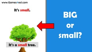 BIG
or
small?
It’s small.
It’s a small tree.
 
