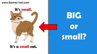 BIG
or
small?
It’s small.
It’s a small cat.
 