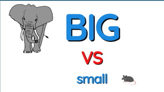 Understanding Size: Identifying Big and Small Objects for Early ...