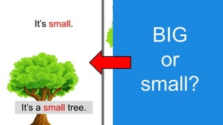 Understanding Size: Identifying Big and Small Objects for Early ...
