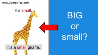 Understanding Size: Identifying Big and Small Objects for Early ...