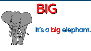 Understanding Size: Identifying Big and Small Objects for Early ...