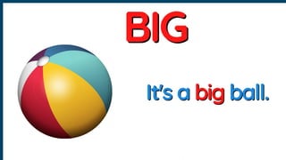 Understanding Size: Identifying Big and Small Objects for Early ...