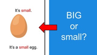 Understanding Size: Identifying Big and Small Objects for Early ...