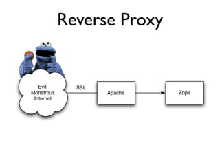 Protecting Plone from the Big, Bad Internet