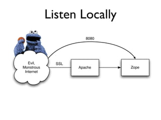 Protecting Plone from the Big, Bad Internet
