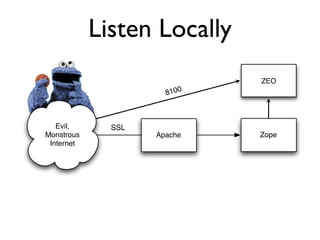 Protecting Plone from the Big, Bad Internet