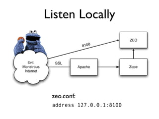 Protecting Plone from the Big, Bad Internet