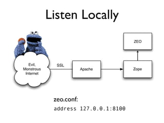 Protecting Plone from the Big, Bad Internet
