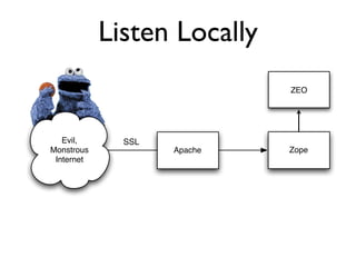 Protecting Plone from the Big, Bad Internet