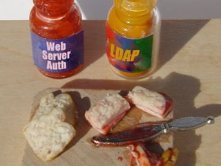 Protecting Plone from the Big, Bad Internet