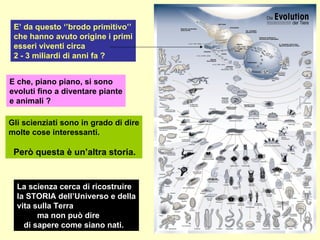 La scienza cerca di ricostruire  la STORIA dell’Universo e della vita sulla Terra ma non può dire  di sapere come siano nati.  E’ da questo ‘’brodo primitivo’’ che hanno avuto origine i primi esseri viventi circa  2 - 3 miliardi di anni fa ?  E che, piano piano, si sono  evoluti fino a diventare piante e animali ?  Gli scienziati sono in grado di dire molte cose interessanti. Però questa è un’altra storia. 