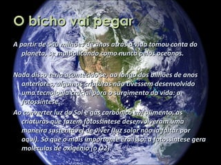 O bicho vai pegar A partir de 540 milhões de anos atrás a vida tomou conta do planeta, se multiplicando como nunca pelos oceanos.  Nada disso teria acontecido se, ao longo dos bilhões de anos anteriores, algumas criaturas não tivessem desenvolvido uma tecnologia crucial para o surgimento da vida: a fotossíntese. Ao converter luz do Sol e gás carbônico em alimento, as criaturas que fazem fotossíntese desenvolveram uma maneira sustentável de viver (luz solar não ia faltar por aqui). Só que o mais importante era isso: a fotossíntese gera moléculas de oxigênio (o O2). 